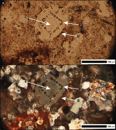 Photomicrographs Of A Quartz Phenocryst With Concentric Melt Inclusion Download Scientific