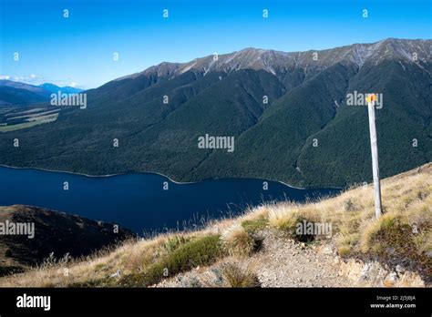 Lake Rotoiti From Paddys Track Nelson Lakes National Park South