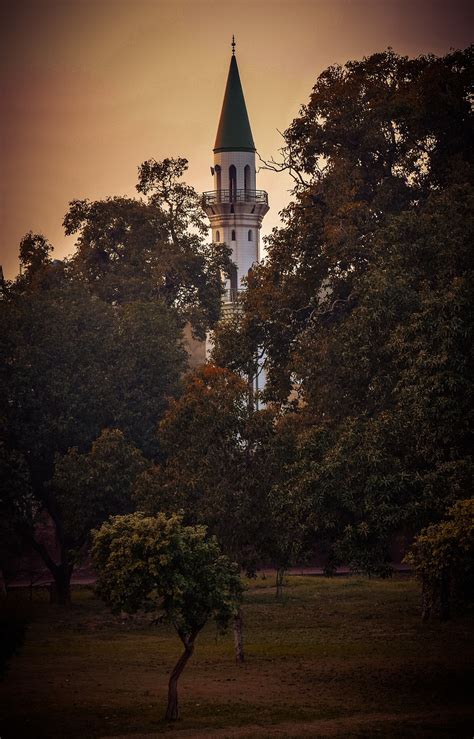 Tower Sunset Trees Free Photo On Pixabay Pixabay