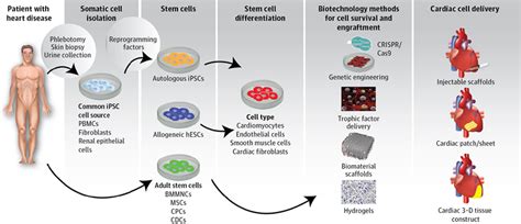 Potential Strategies To Address The Major Clinical Barriers Facing Stem