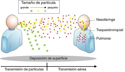 QUÉ SON LOS AEROSOLES CÓMO SE PRODUCE LA TRANSMISIÓN DEL VIRUS