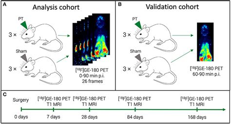 Frontiers Reduced Acquisition Time F Ge Pet Scanning Protocol