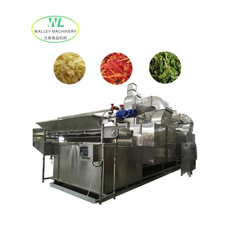 Hotsell Automatic Dehydrator Industrial Continuous Conveyor Food Drying