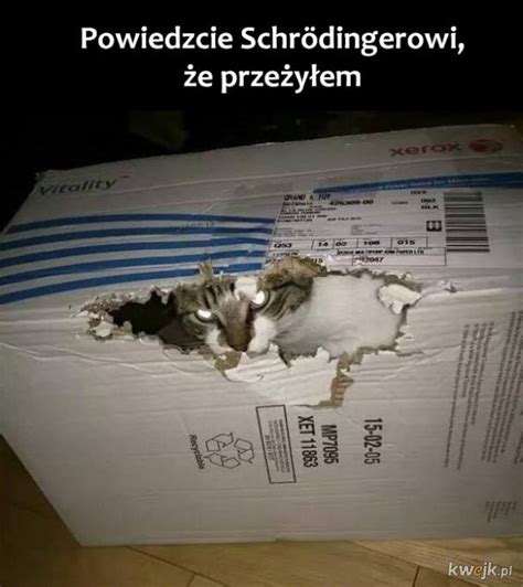 Schrödinger Ministerstwo śmiesznych obrazków KWEJK pl Memes I