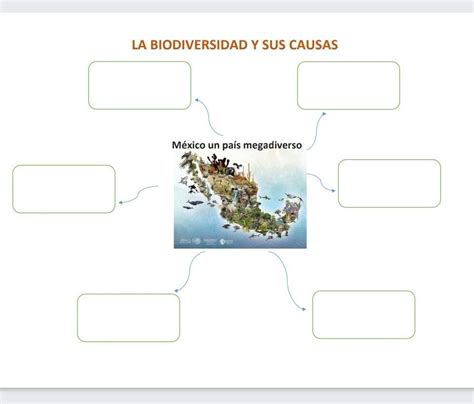 Top Imagen Biodiversidad Mapa Mental Viaterra Mx