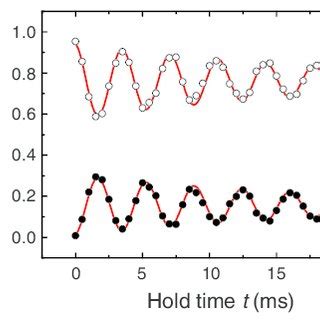 Spin Dynamics Of Atom Pairs Localized In An Optical Lattice At A