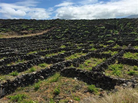 Azores: the Volcanic Magic of Pico Island! | Modern Odyssey