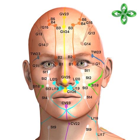 Neck Acupuncture Points Chart