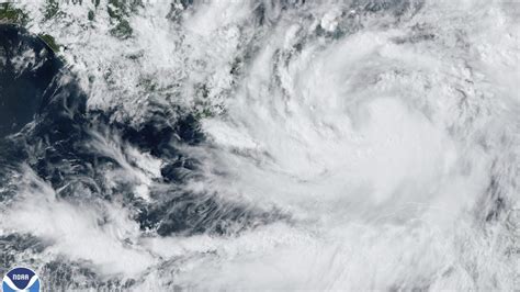 Hurricane Julia Makes Landfall As Category 1 Storm Wfla