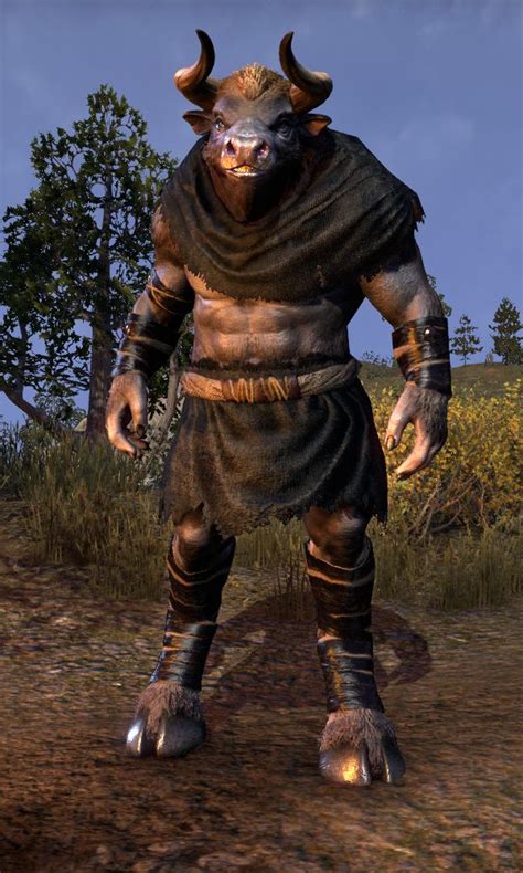 Minotaur Shaman Is A Type Of Minotaur That Appears In The Elder Scrolls