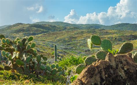 Aruba City And Region Guide Where To Stay Play And Explore