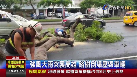 強風大雨突襲高雄路樹倒塌壓毀車輛 Youtube