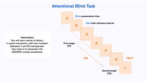 Attentional Blink Rsvp Task Free Template And Step By Step Guide