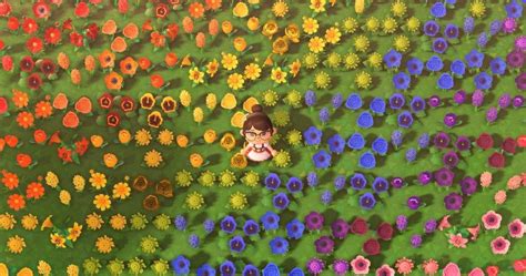 Animal Crossing: New Horizons - Full Flower Breeding Guide