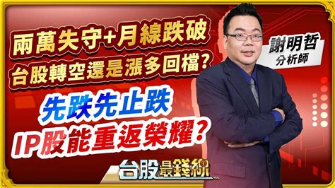 謝明哲分析師【兩萬失守月線跌破 台股轉空還是漲多回檔 先跌先止跌、ip股能重返榮耀】│台股最錢線 20240416 Youtube