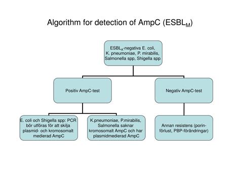 Ppt Algorithm For Detection Of Classical Esbl Esbl A Powerpoint