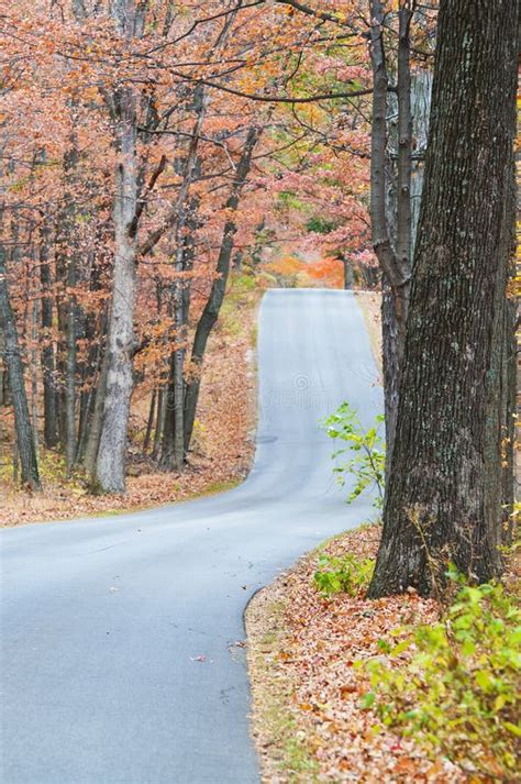 Country road in autumn stock photo. Image of autumn, bright - 16637100