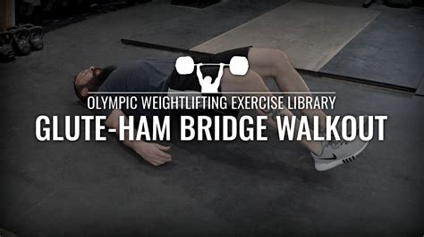 Glute Ham Bridge Walkout Olympic Weightlifting Exercise Library Youtube