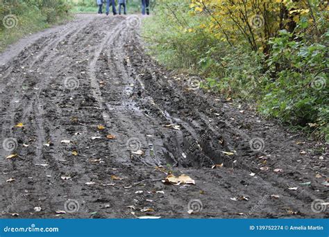 Closeup of a Muddy Rut in a Road with People Walking in the Background ...
