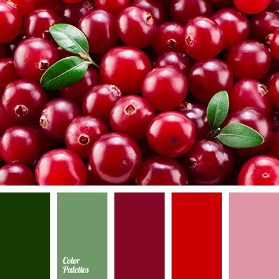 berry color | Color Palette Ideas