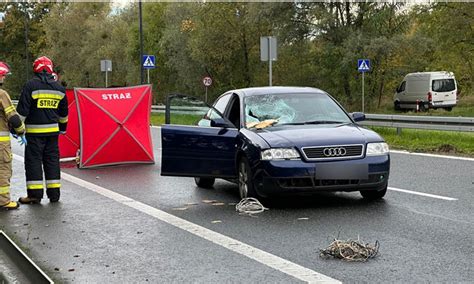 Tragiczny wypadek na obwodnicy Kędzierzyna Koźla Nie żyje rowerzysta