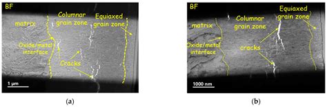 Metals Free Full Text Effect Of Reprocessing On Microstructure And