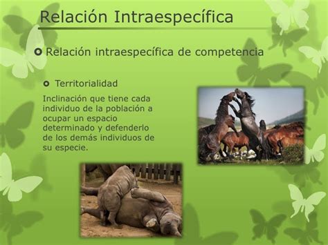 Relacion Intraespecifica E Interespecifica