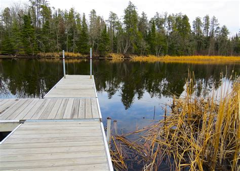 Big Bog State Rec Area Camping The Dyrt