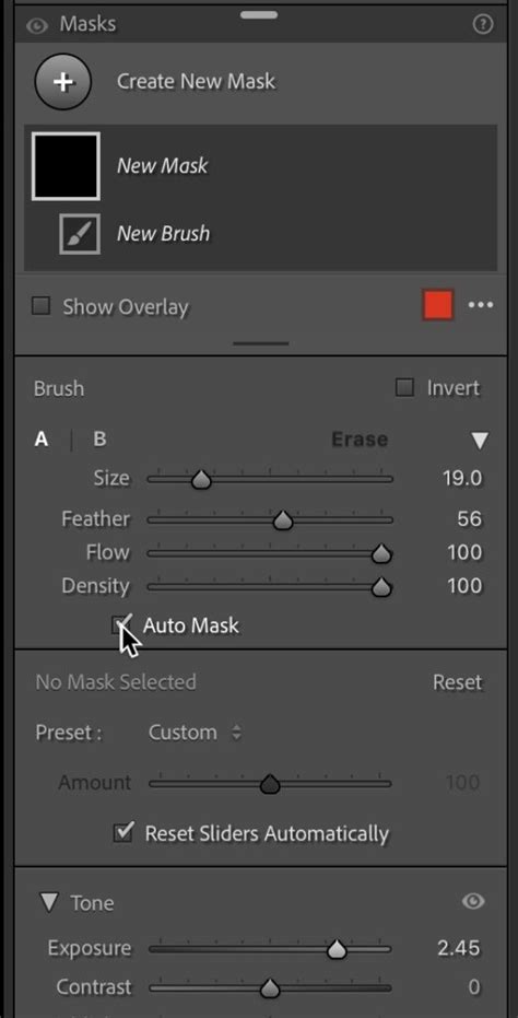 Lightroom S Auto Mask Feature 90 Of The Time Its Awesome