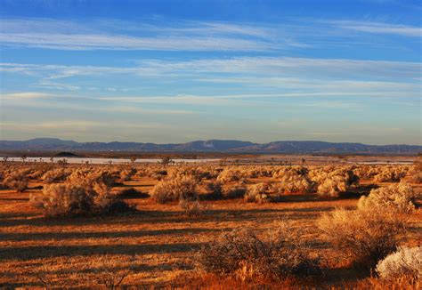 The Tanami Desert | Travel the world without leaving Australia