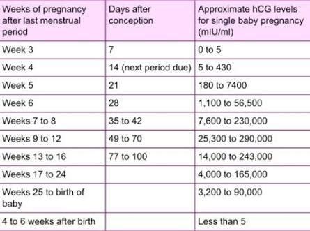 Hcg Levels In Early Pregnancy Babycenter