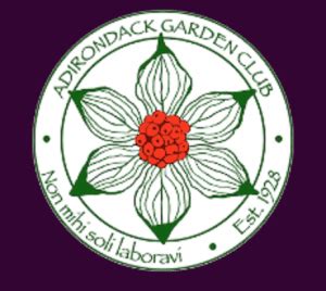 Adirondack Garden Club Grants Available New York Almanack