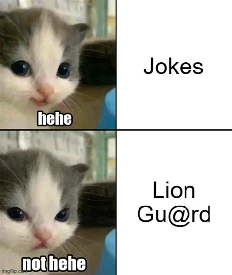 Cute Cat Hehe And Not Hehe Imgflip