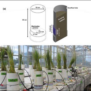 A Schematic Diagram Of Air Cathode Microbial Fuel Cell B Setup For