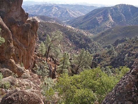 Wooded ravine: Pinnacles National Park, California