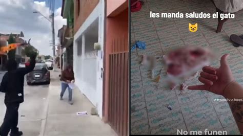 Video Personas Encapuchadas Lanzaron Bombas Molotov Por Muerte De Gatito En Aguascalientes