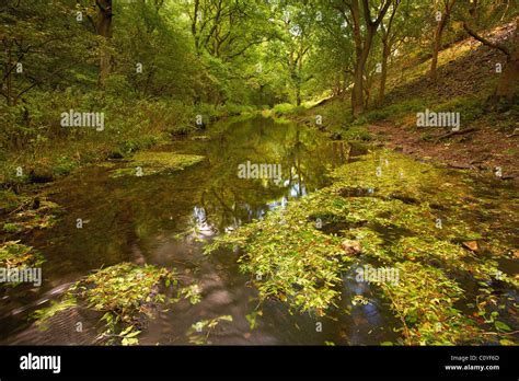 Lathkill Dale River Stock Photo - Alamy