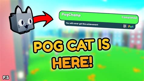 I GOT POG CAT NEW UPDATE HOW TO GET POG CAT ROBLOX PET SIMULATOR