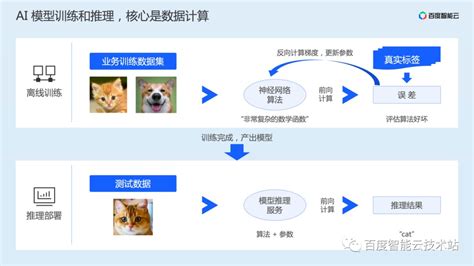 Ai 训练加速原理解析与工程实践分享