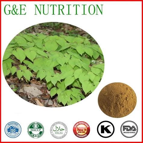 Epimedium Pubescens Maxim P E Epimedium Sagittatum Extract Powder