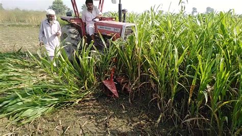 Barseem Grass Chari Cutting Reaper By Al Riaz Working At Awan Farm Youtube