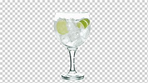 Ginebra Y T Nica C Ctel Vodka T Nica Gimlet Martini C Ctel Vaso Copa