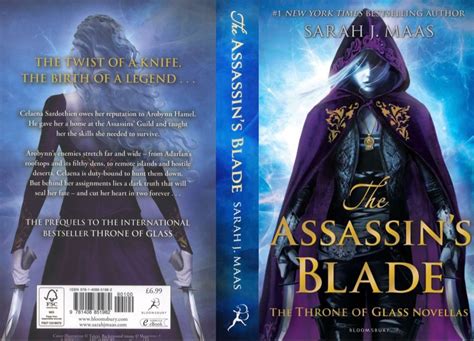 Assassins blade book cover | Mini books, Book cover, Book cover template