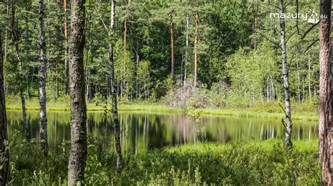 Atrakcja Turystyczna Rezerwat Przyrody Zakr T