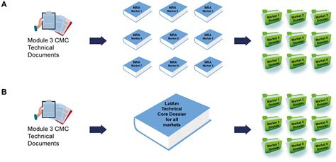 Frontiers Establishing A Core Dossier For Multiple Regulatory