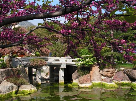 File:Japanese-garden-Monaco.jpg