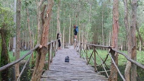 Ho Chi Minh Private Can Gio Mangrove Forest Day Tour Getyourguide