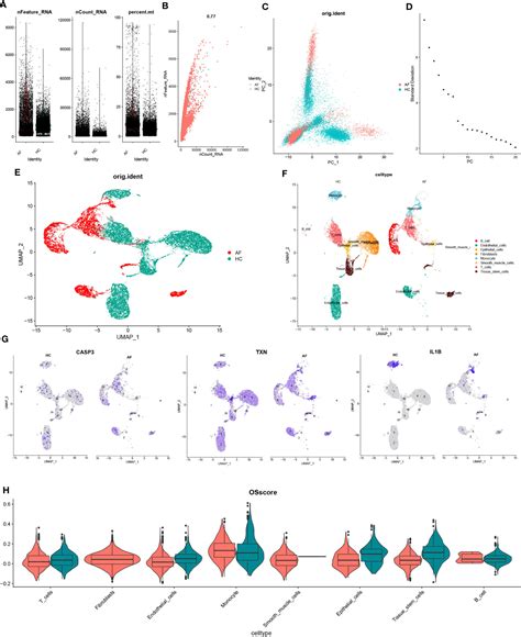 Uncovering The Potential Role Of Oxidative Stress In The Development Of