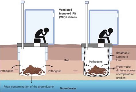 Defecating Schematic Pit Latrines Chamber Drop Stock Vector 57 Off