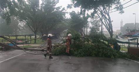 Banjir Kilat Pokok Tumbang Di Ibu Negara Berita Harian